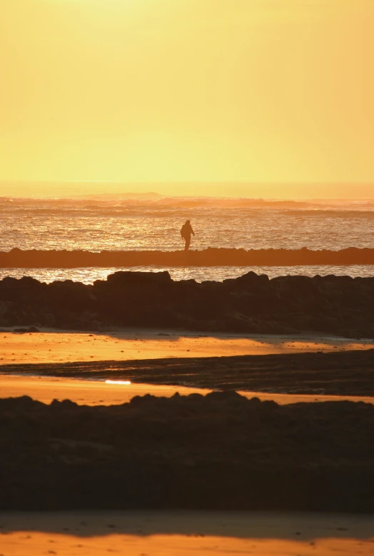 a surfer walking along the beach with his board