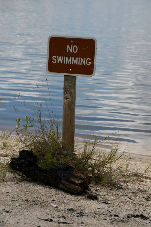 a sign on the beach warning not to swim