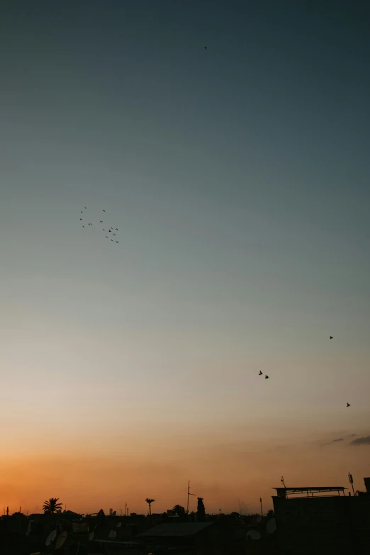 a sky that has birds flying in the sky