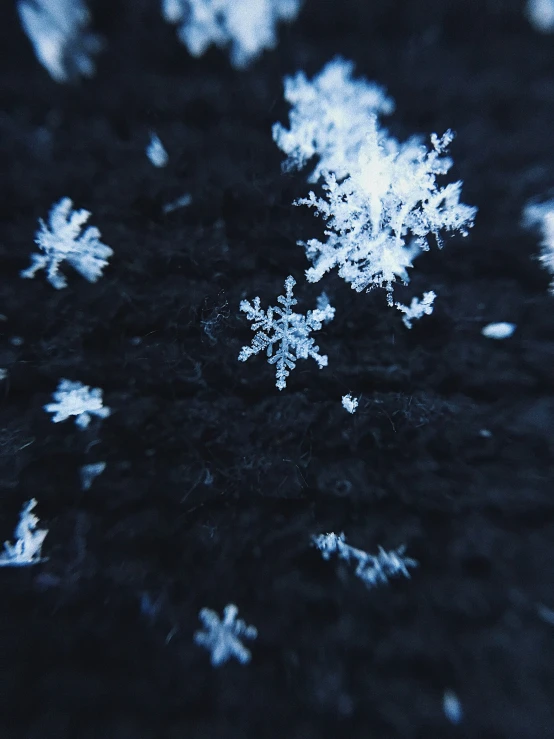 a group of snow flakes that are on a table