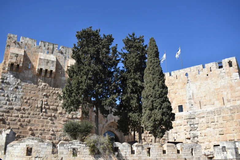 two trees in front of a medieval stone structure
