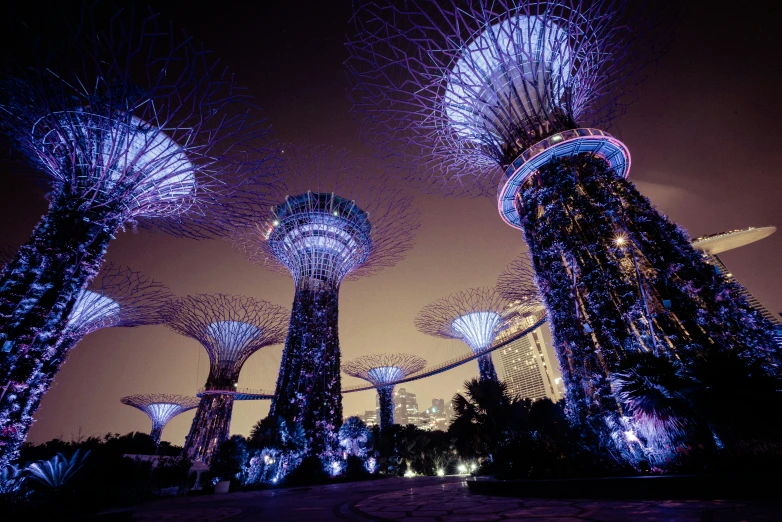 gardens by the bay with trees lit up