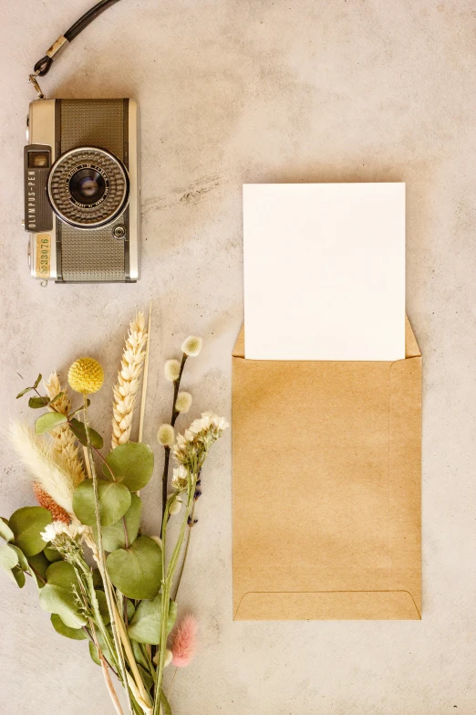 an old fashioned camera, some flowers and paper