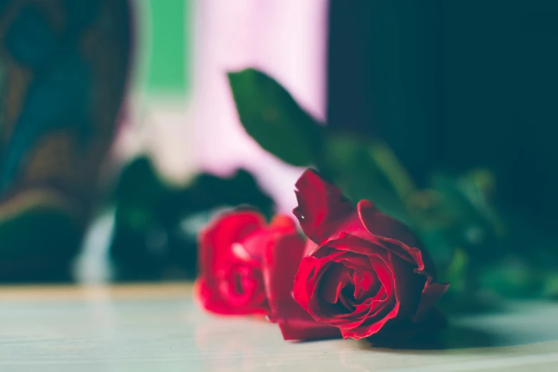 a close up image of red roses on the table