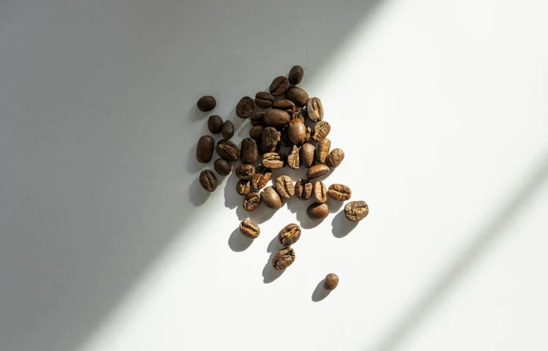some coffee beans on the ground and a white background