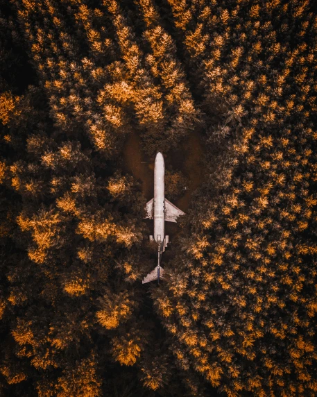 a plane is flying in the air above trees
