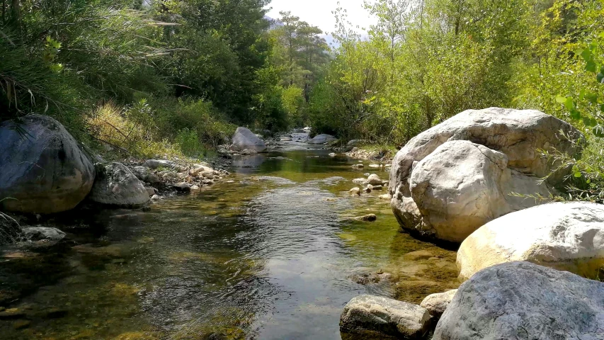 the stream runs through a green area with rocks in it