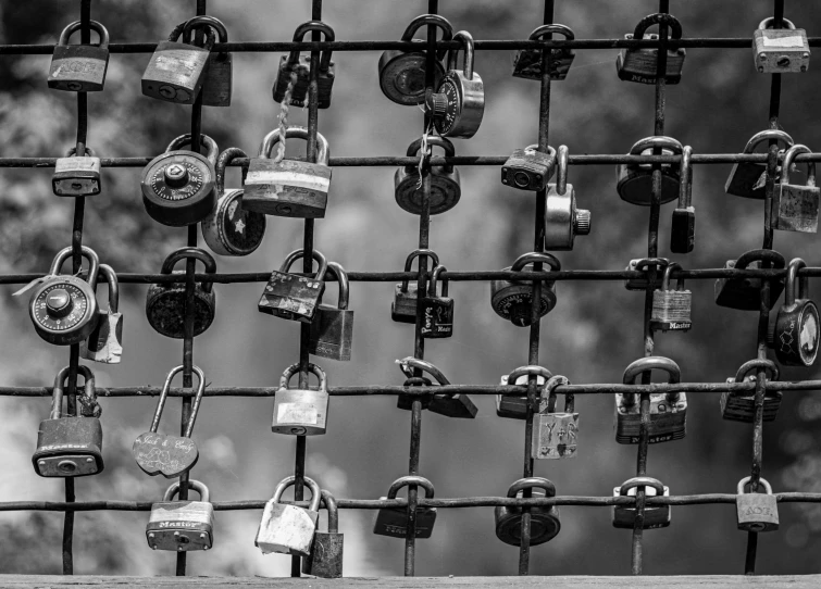 many padlocks attached to a fence with trees in the background