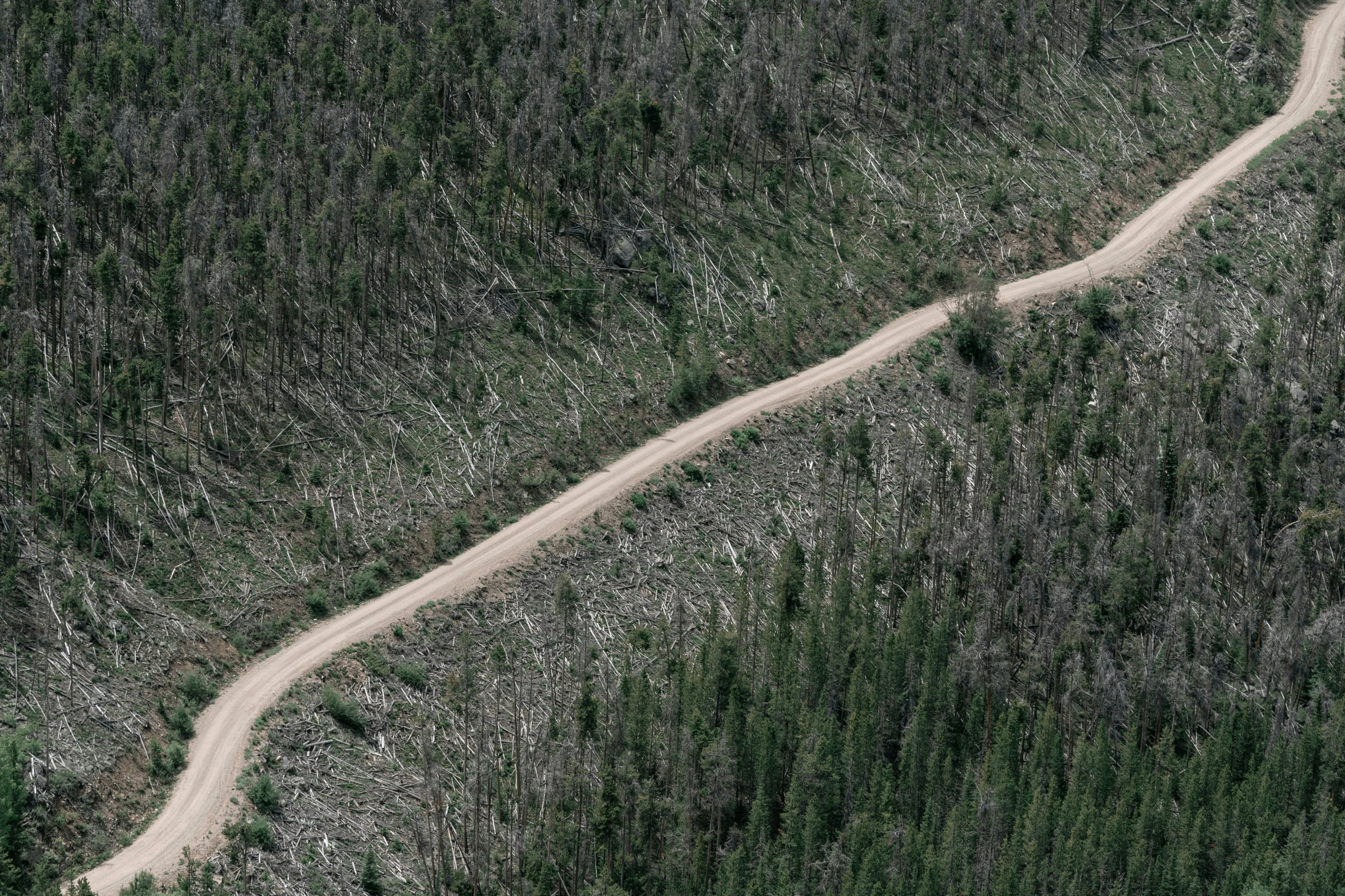 an aerial view of an empty road in the middle of a green field