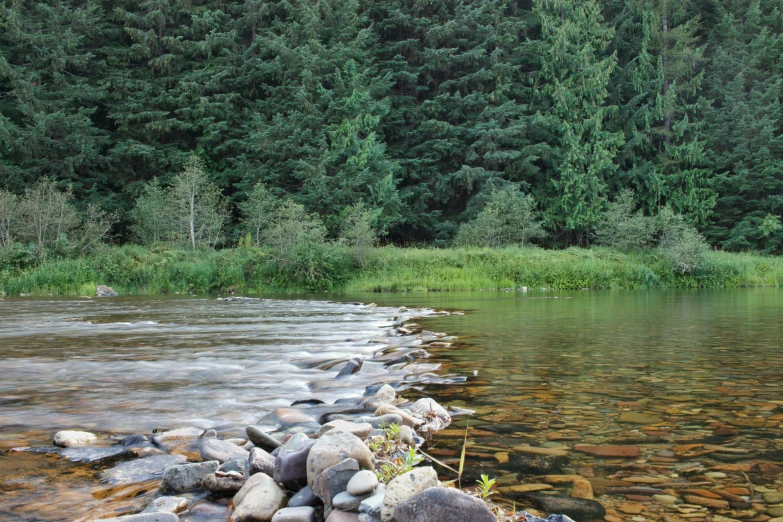 the stones and grass make this a clear body of water