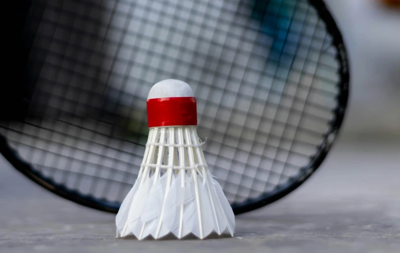 closeup of a white and red badminton racket