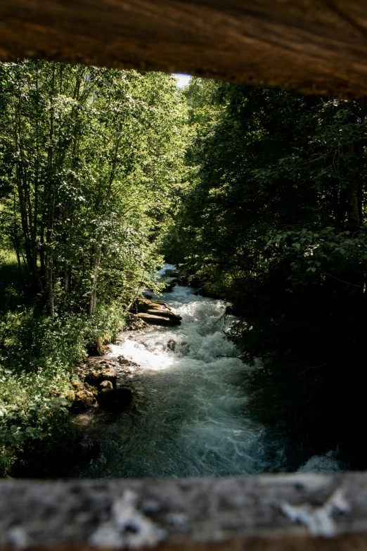 the view of a river through an open window