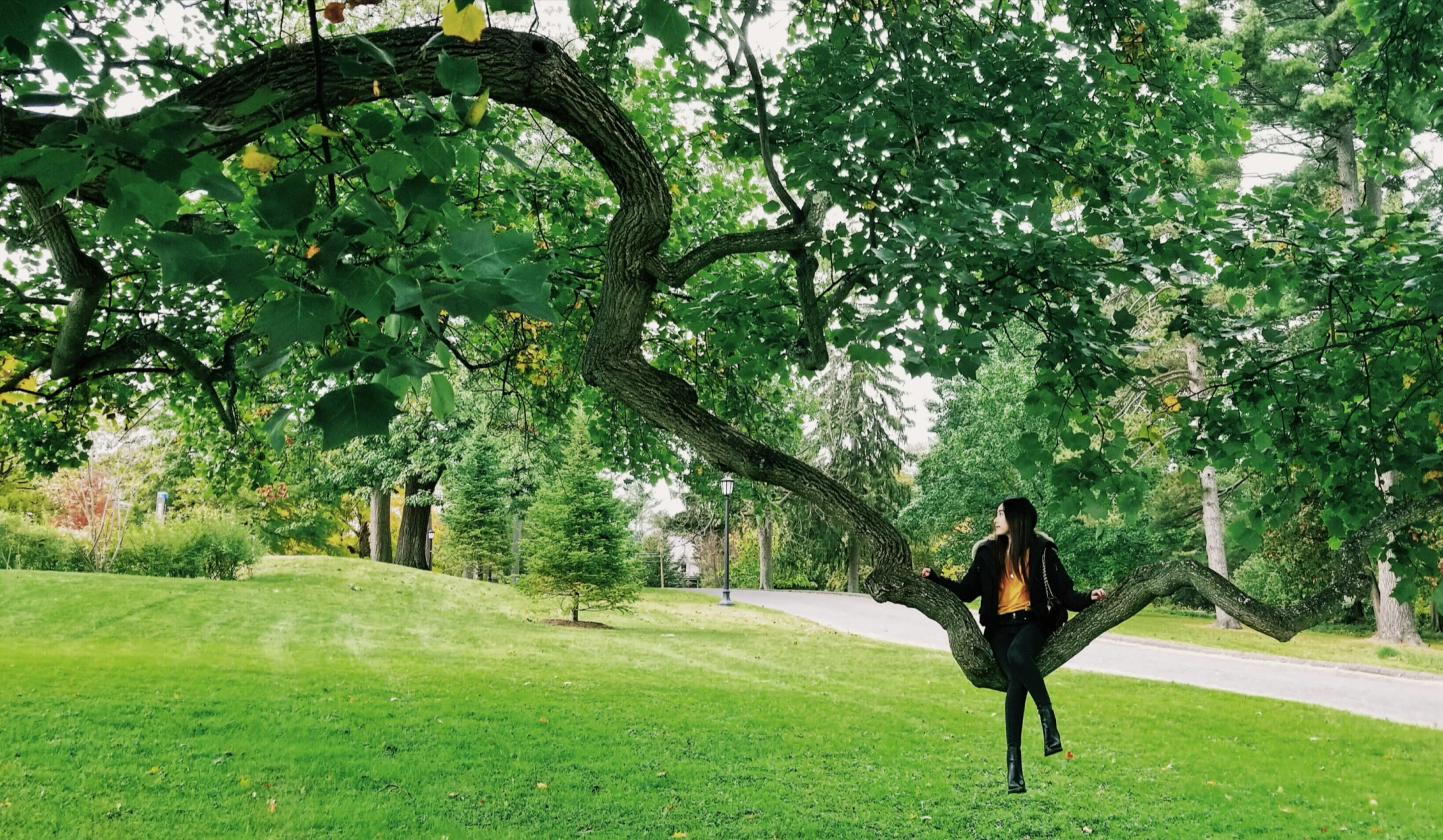 a woman in the grass holding onto her umbrella