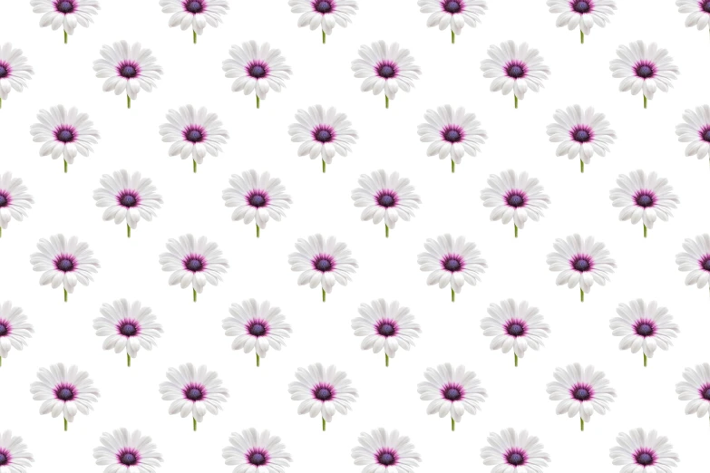 a pattern of purple and white flowers is shown