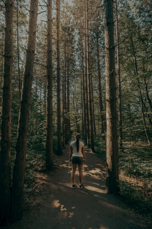 a person standing alone on a path between trees