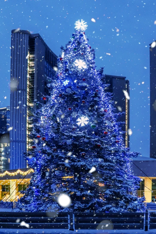 blue christmas tree in the middle of a snowy night