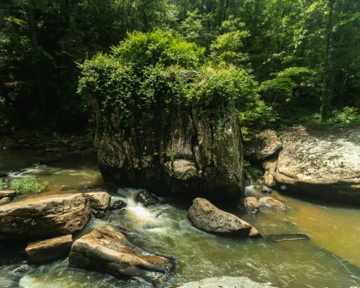 a small stream running through the woods through large rocks