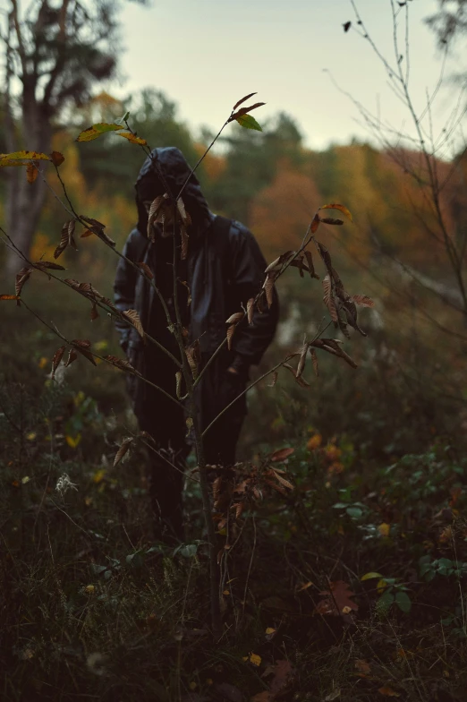 a man with a hood is standing behind a tree in the forest