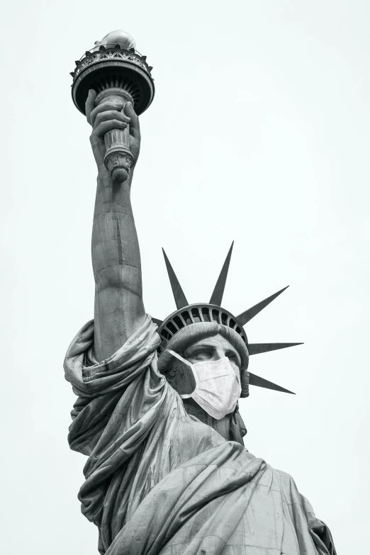 the statue of liberty is seen against a light gray sky