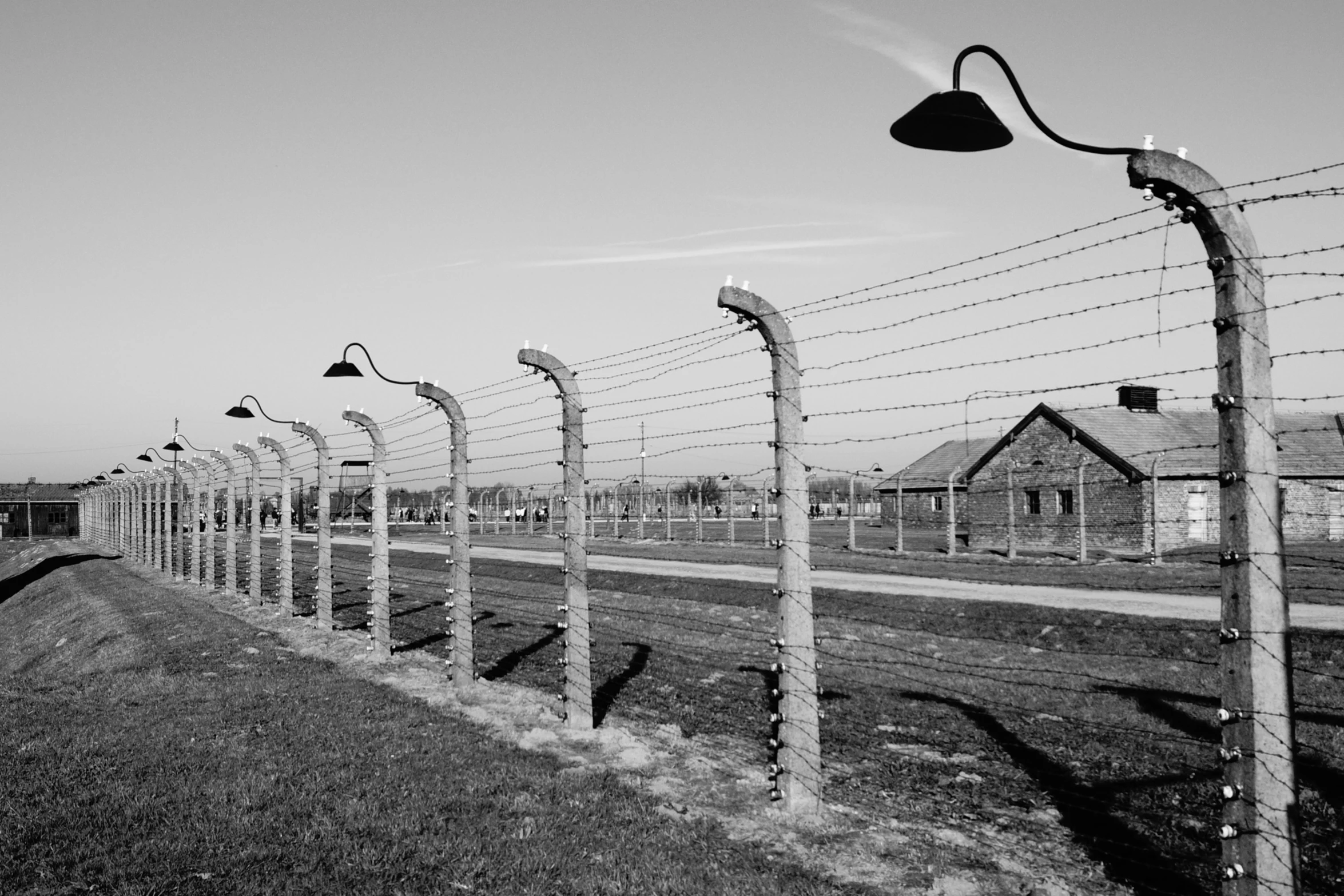 a group of birds standing on a fence by a fence