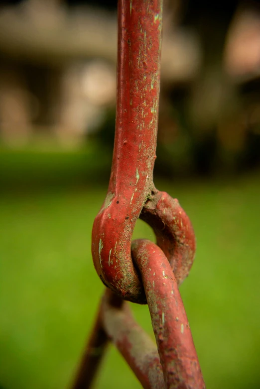 rusted metal link in a park with the grass green