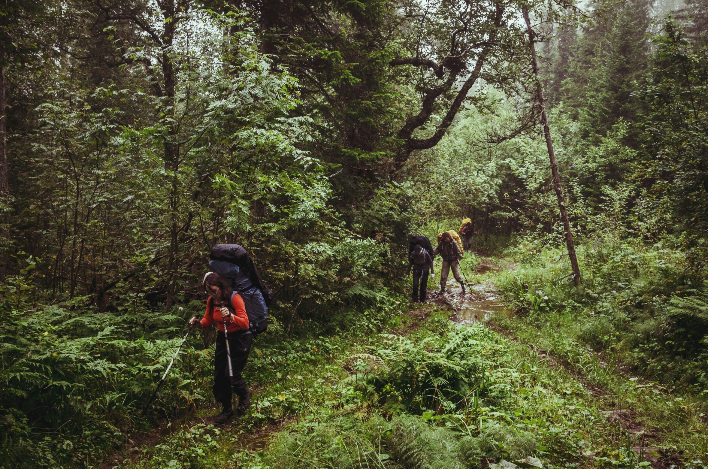 a couple of people walking in the woods