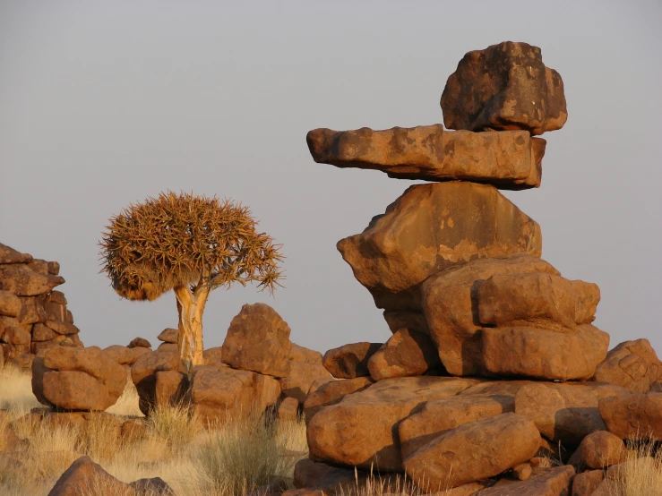 rocks and a tree are in the foreground with dry grass and brown grasses in the foreground