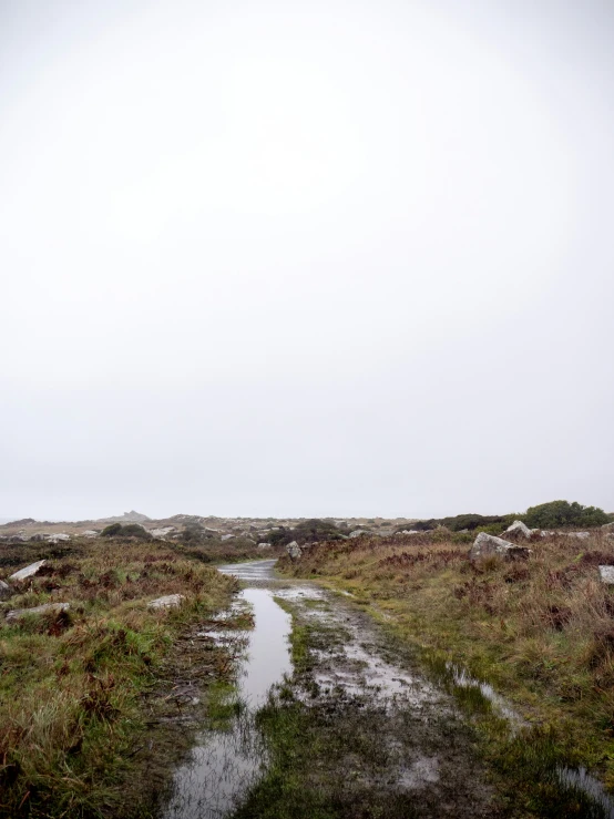 an empty path runs through grass by the shore