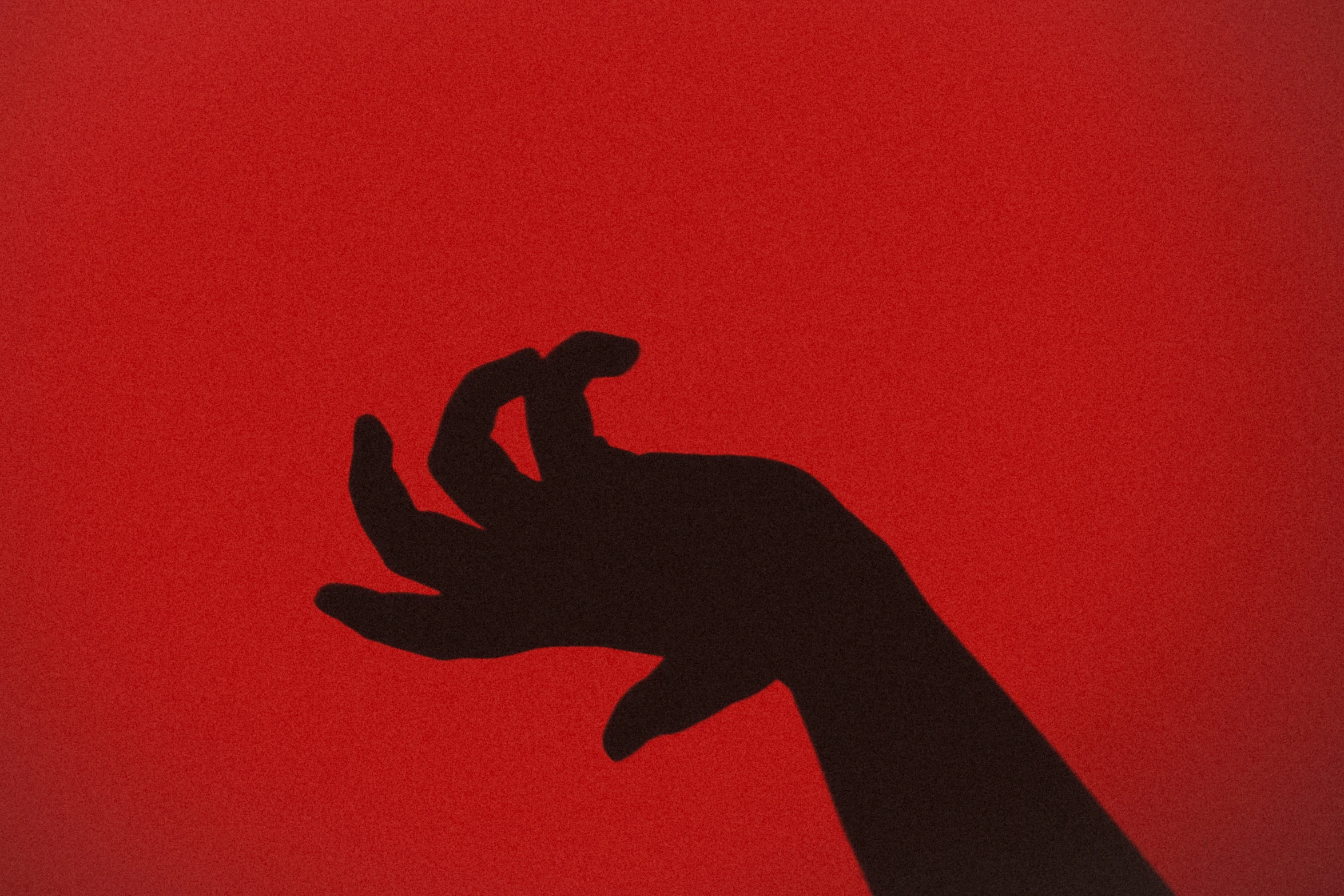 a shadow of a hand holding a bird up in the air