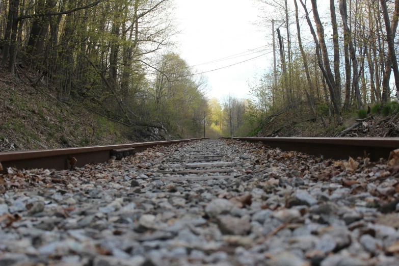 the train tracks on a track in the woods