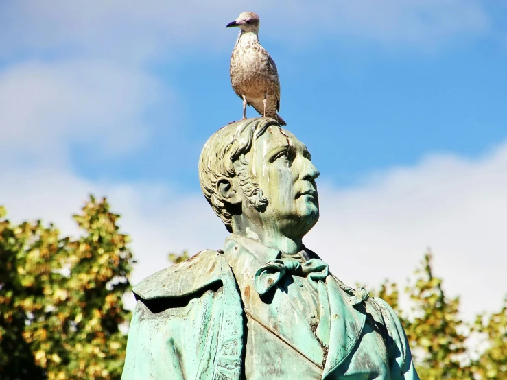 bird sitting on the bust of a statue