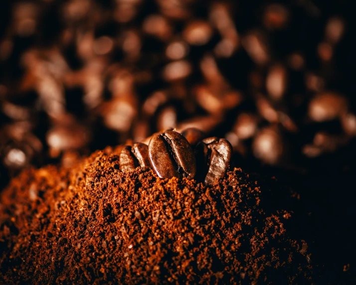 a pile of ground coffee sitting next to a pile of nuts