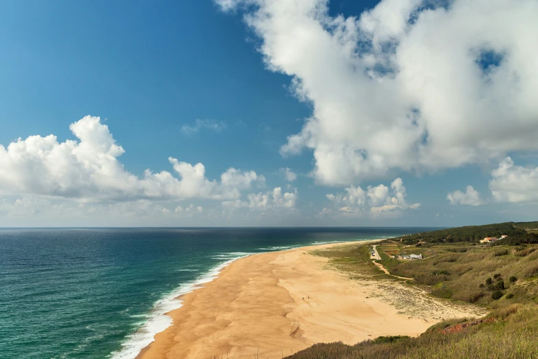 some green grass sand a sandy beach and water