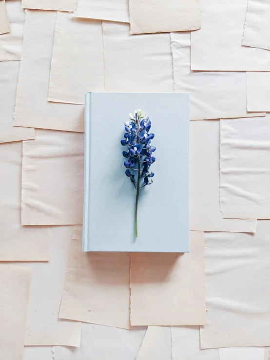 a blue flower sitting on top of a book