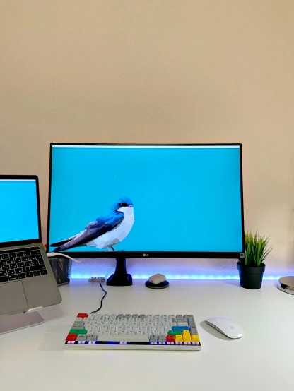 an office with a desk, two laptops, and a large monitor