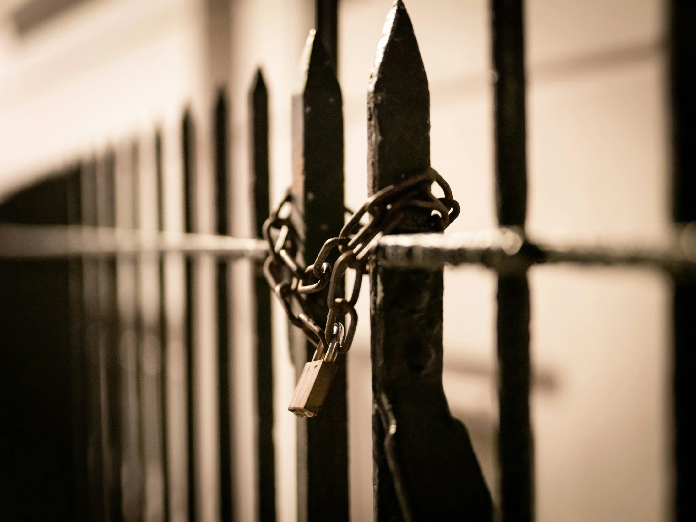 black and white po of a iron fence with a key