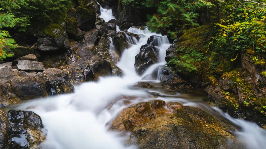 a stream cascading through a wooded area in the woods