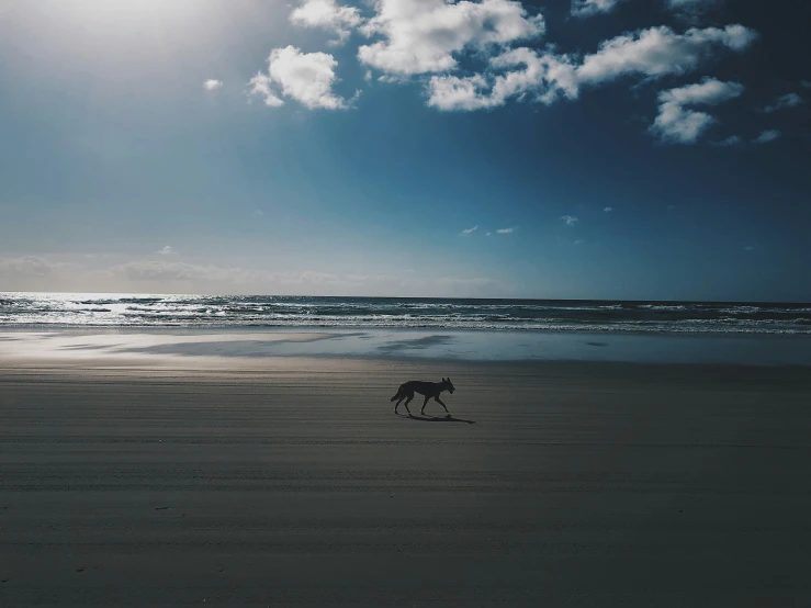 a horse running down the beach with cloudy sky above