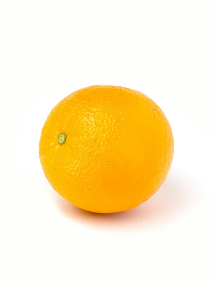 an orange sitting in the middle of a white background