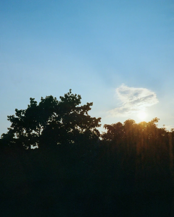 the setting sun shining through tree silhouettes