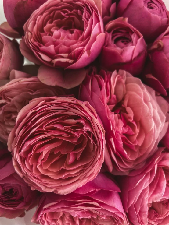 pink flowers that are on a white table