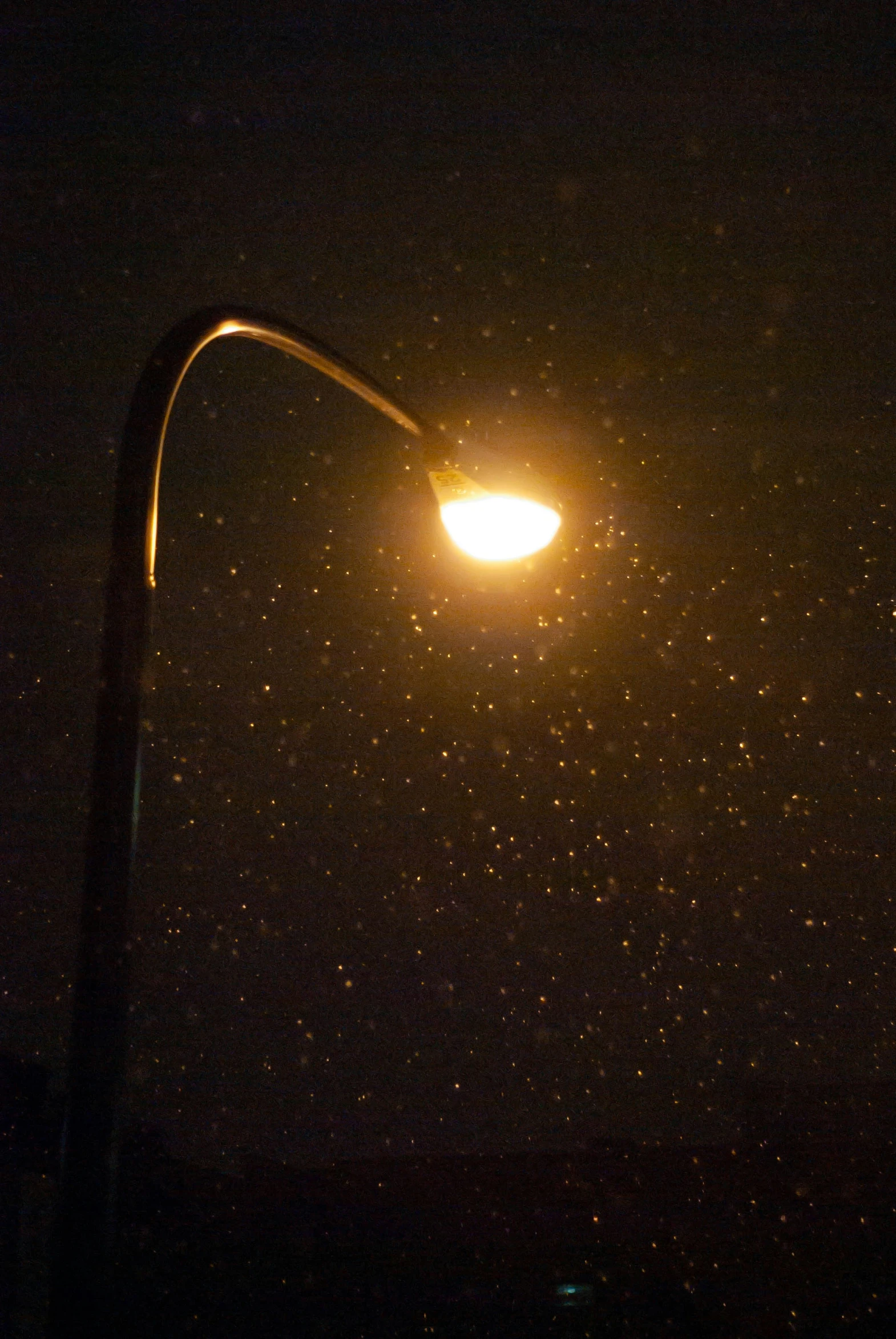 a street lamp that is lit on the night