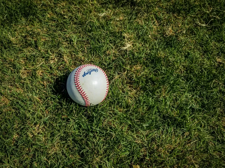 an over sized baseball sitting on some grass