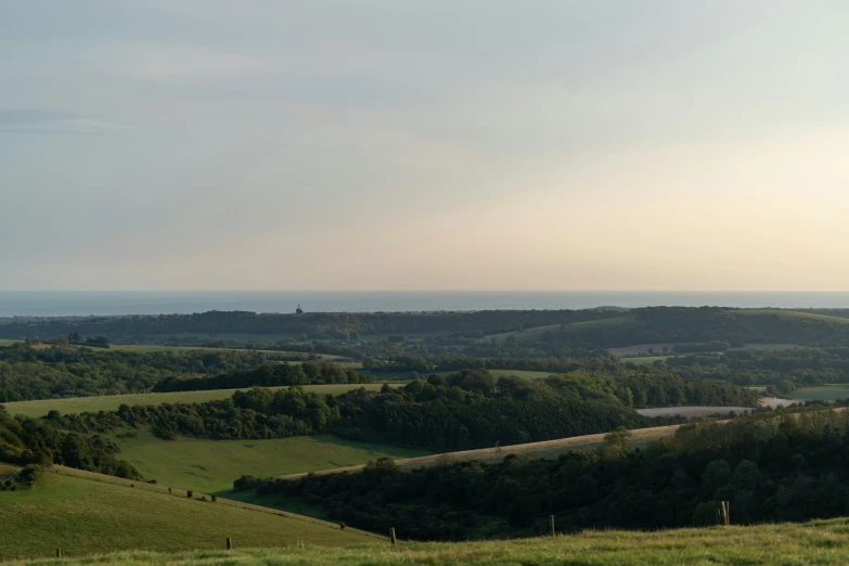 a bird is perched on top of a hill looking over a valley