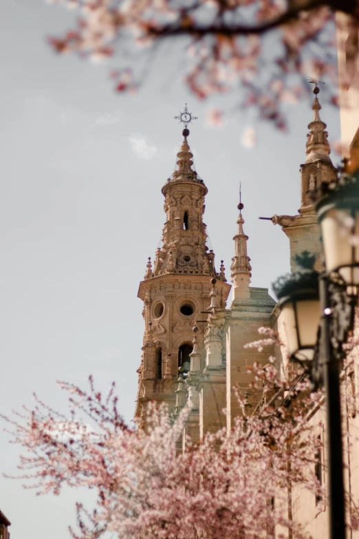 large ornate architecture with tall spires and bell towers