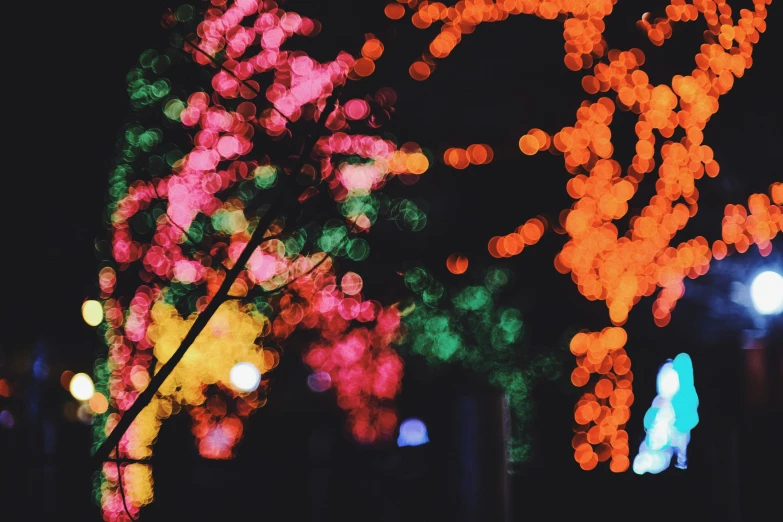 blurry colored lights on trees in the dark