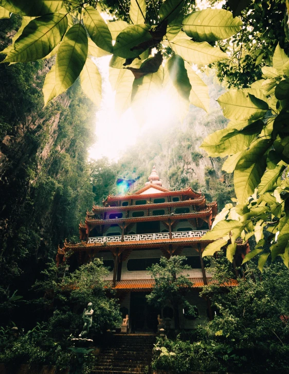 this is an image of a temple in the jungle