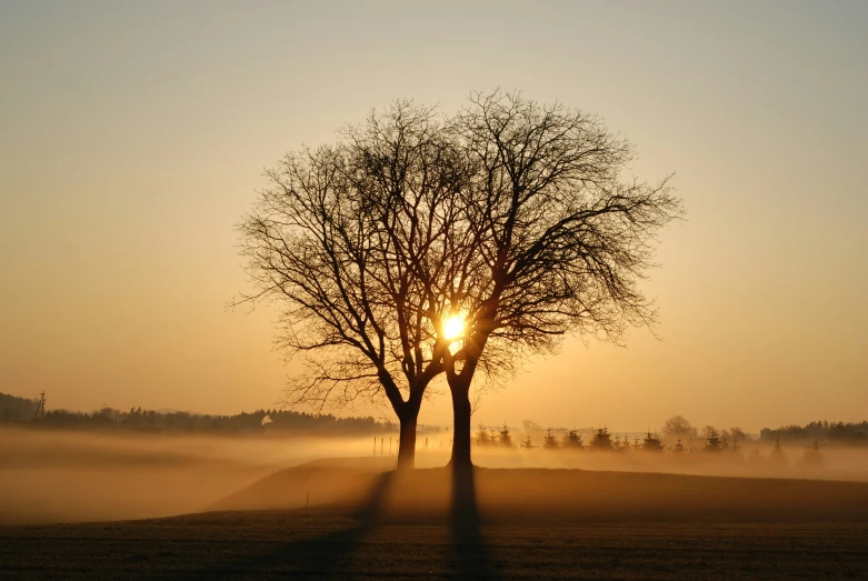 the sun is setting behind the fog covered trees