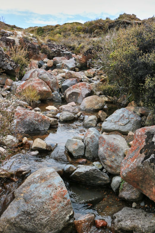 an old rock river flows under some vegetation