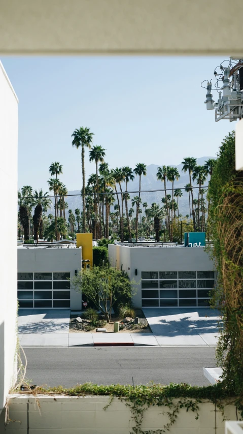 a view of a building near a palm tree